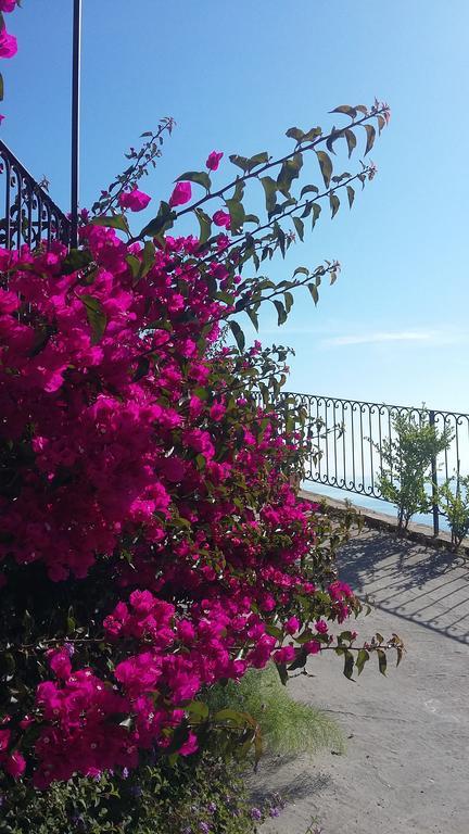 Aparthotel Oltremare